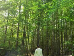 -桤木河湿地公园