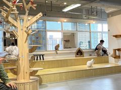 大堂-Heymao猫咖.咖啡厅(东门店)