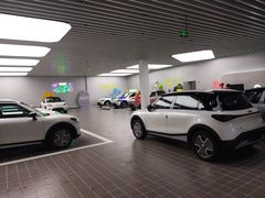 -上海浦东smart汽车全功能店(金桥店)