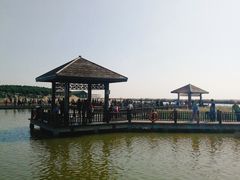 -南大港湿地风景区