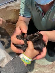 -酷嗒动物文化乐园(cutezoo西溪乐天城店)