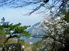 -庐山风景区花径公园