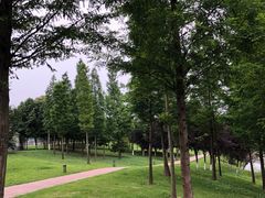 -眉山湿地公园(东坡区)