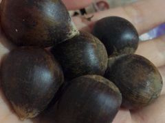 -邢记板栗(铜陵二店)