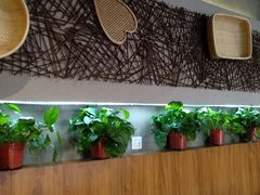 -香满园春饼·家常菜(东大桥店)