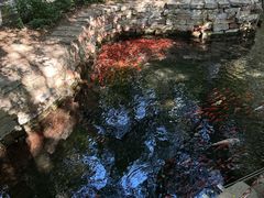 -水磨沟公园
