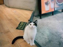 -么么咖啡(燕郊店)