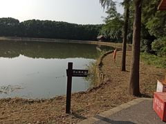 -广富林郊野公园