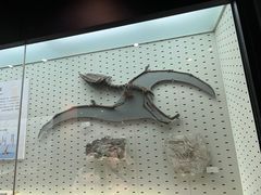 -浙江自然博物院(杭州馆)