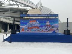 -沈阳奥体冰雪嘉年华