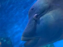 -海合安青岛极地海洋公园