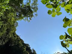 -海口火山口国家地质公园