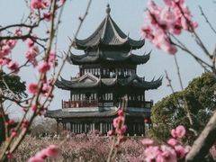 -上海海湾国家森林公园