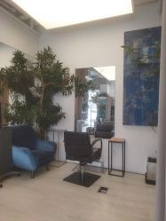-Hair  Gallery