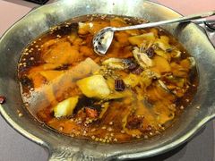 -沸腾鱼乡(知春路分店)
