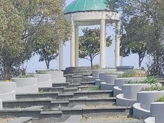 -上海都市菜园