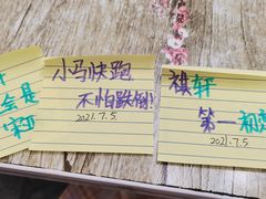 -沉香牛肉面