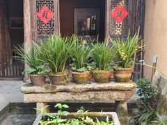 -杨家堂村