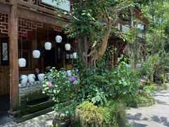 -青城甲(青城山店)