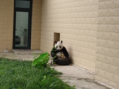 -石家庄市动物园