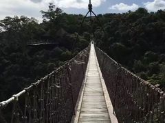 -三亚亚龙湾人间天堂鸟巢度假村