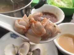 白贝-蚝专家