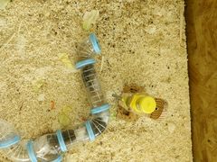 -怪兽屋·羊驼·猫咖·狗咖(俊华广场店)