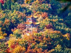 -龙口南山旅游景区