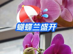 -簋街