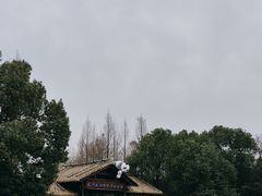 -苏州太湖国家湿地公园