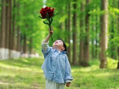 -黄海国家森林公园