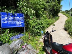 -大面山