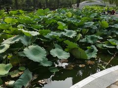 -唐山抗震纪念碑广场