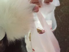 -肯德基(盘龙奥莱店)