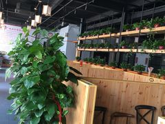大堂-桃源村铁锅炖鱼(体育馆道店)