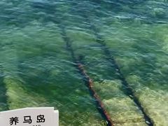-养马岛旅游度假区