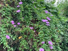 -福建鲤鱼洲酒店