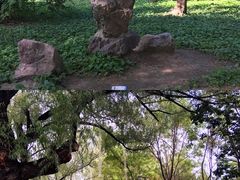 -万泉公园