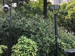 -兰溪青年公园