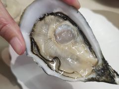 -斯普汇生蚝牛排馆(中骏世界城店)