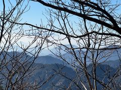-高一点·徽味酥饼王·黄山烧饼