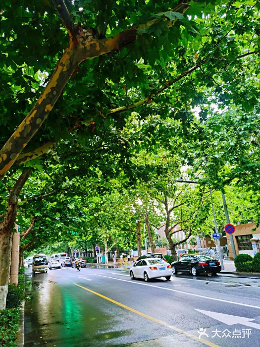 山东省青岛第二中学(江西路分校)图片