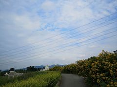 -紫颐香薰山谷景区