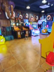 -卡通尼·Safari非洲探索乐园·生日会(金桥国际商业广场店)