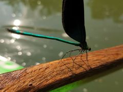 -兴隆红河漂流