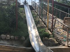 -欢乐松鼠谷
