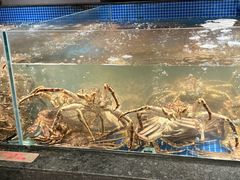 -东海怡品海鲜豆捞(星街坊店)