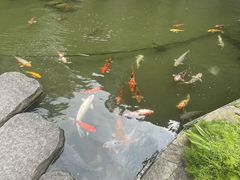 -广州花园酒店荔湾亭·地道点心·粤式饮茶