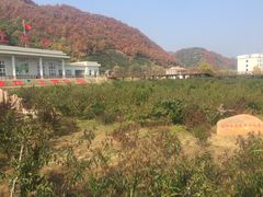 -河口景区