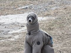 -小意思咖啡店(草桥店)